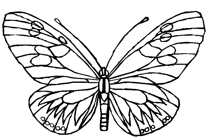 Disegno da colorare: Farfalla (Animali) #15745 - Pagine da Colorare Stampabili Gratuite