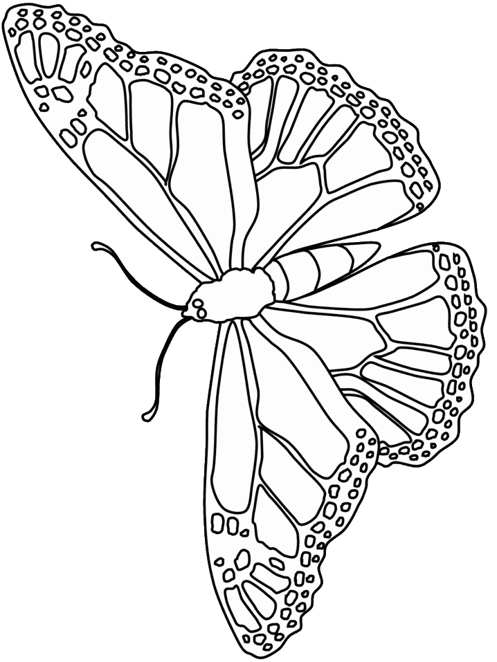 Disegno da colorare: Farfalla (Animali) #15773 - Pagine da Colorare Stampabili Gratuite
