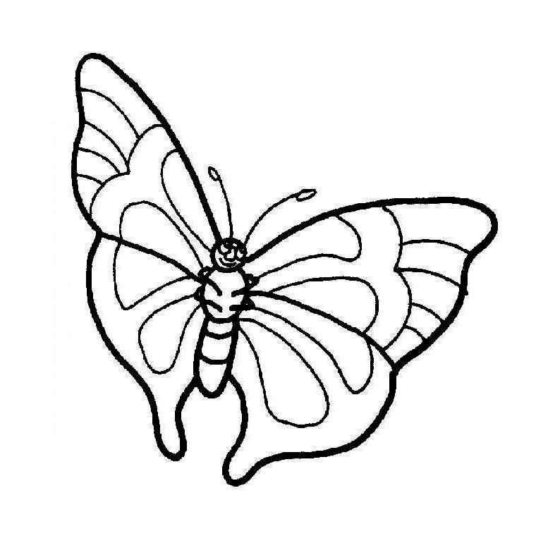 Disegno da colorare: Farfalla (Animali) #15777 - Pagine da Colorare Stampabili Gratuite