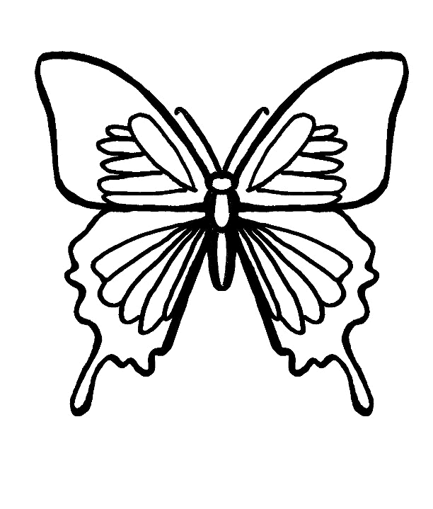 Disegno da colorare: Farfalla (Animali) #15779 - Pagine da Colorare Stampabili Gratuite