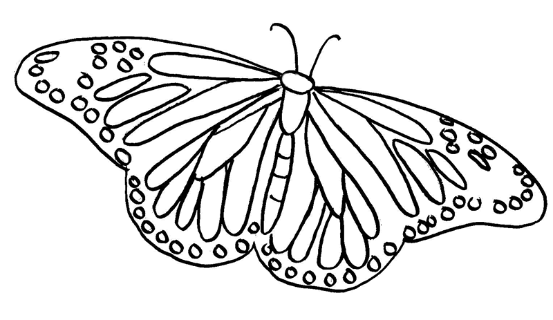 Disegno da colorare: Farfalla (Animali) #15785 - Pagine da Colorare Stampabili Gratuite