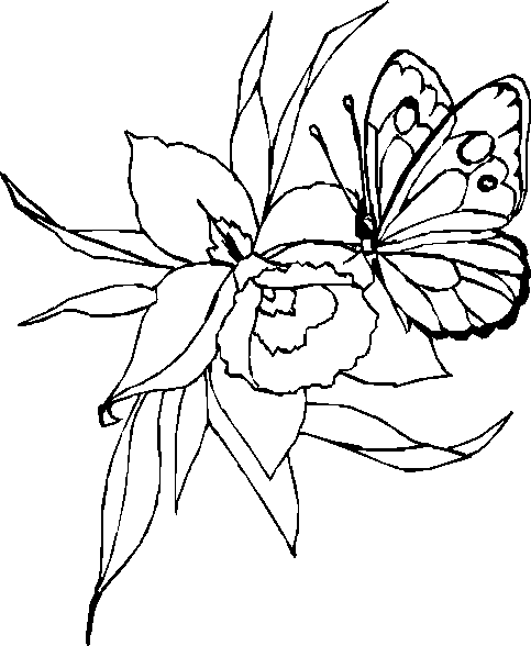 Disegno da colorare: Farfalla (Animali) #15790 - Pagine da Colorare Stampabili Gratuite