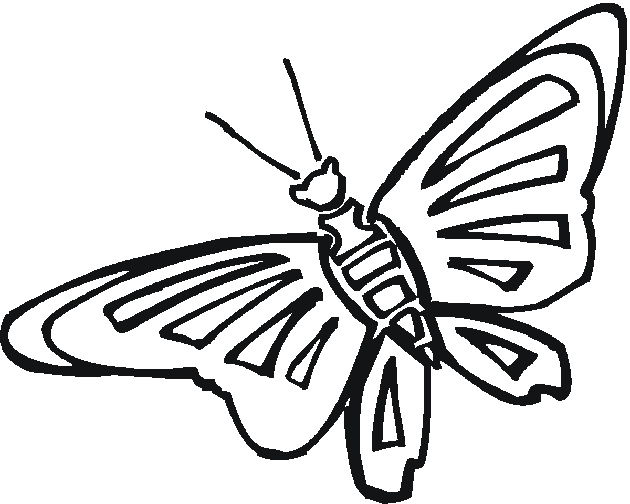 Disegno da colorare: Farfalla (Animali) #15813 - Pagine da Colorare Stampabili Gratuite