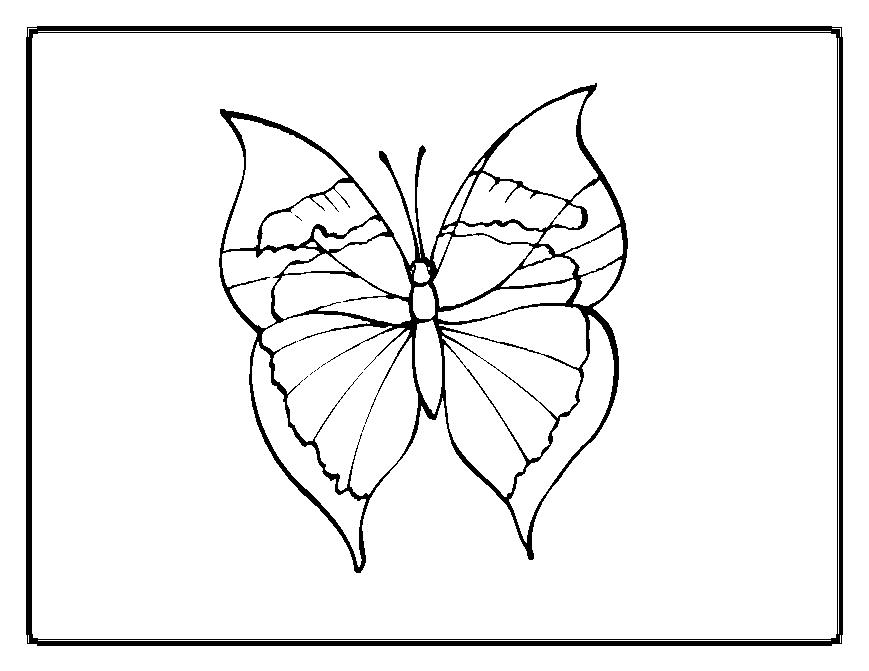 Disegno da colorare: Farfalla (Animali) #15822 - Pagine da Colorare Stampabili Gratuite