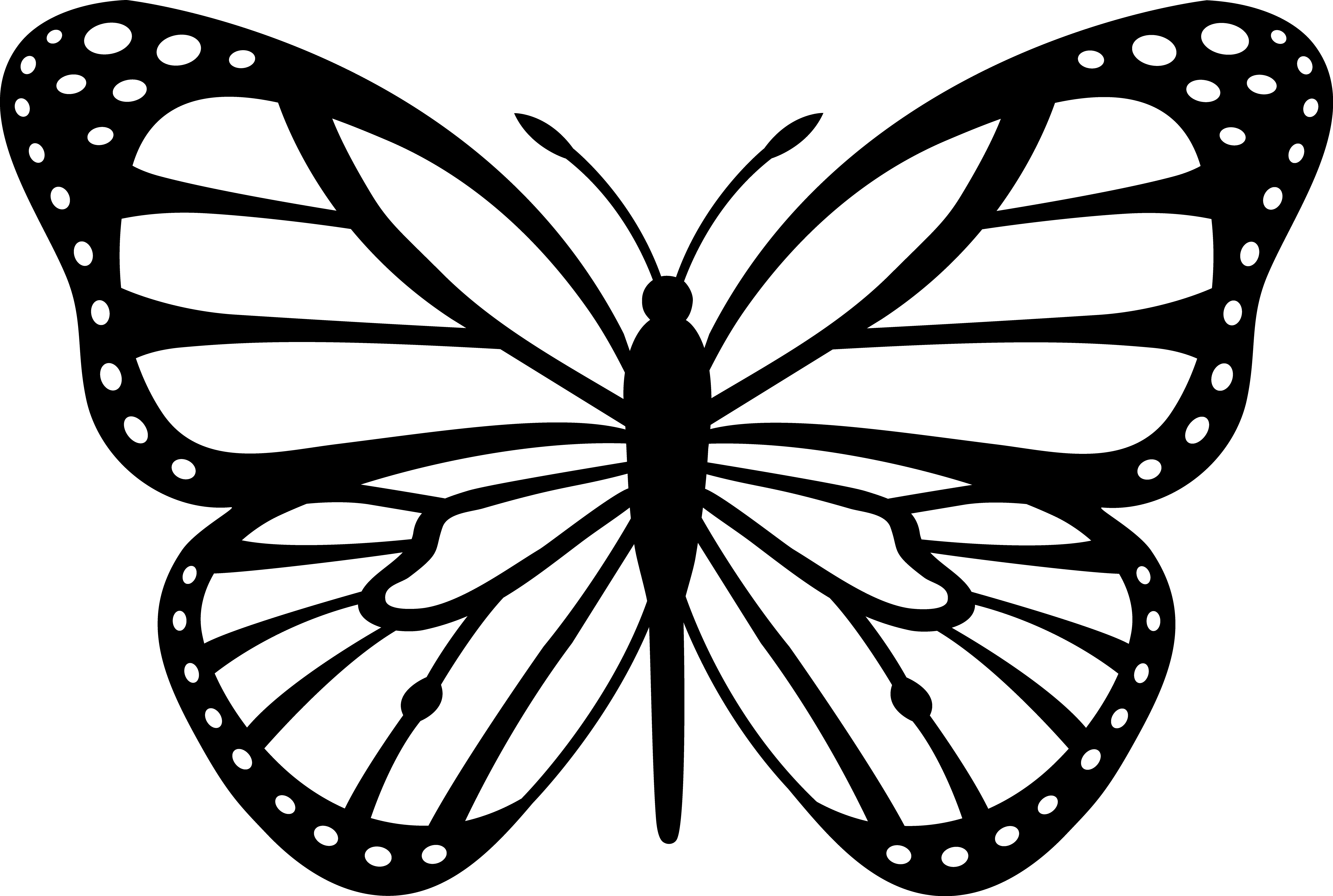 Disegno da colorare: Farfalla (Animali) #15834 - Pagine da Colorare Stampabili Gratuite