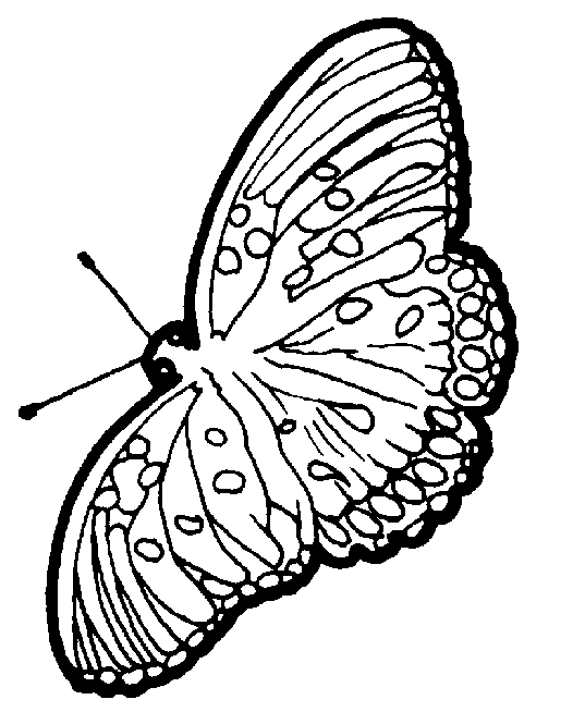 Disegno da colorare: Farfalla (Animali) #15837 - Pagine da Colorare Stampabili Gratuite