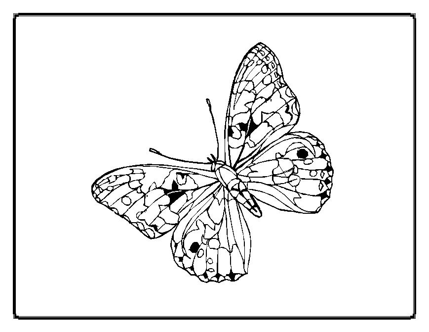 Disegno da colorare: Farfalla (Animali) #15838 - Pagine da Colorare Stampabili Gratuite