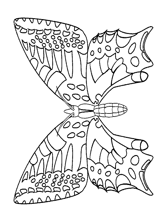 Disegno da colorare: Farfalla (Animali) #15844 - Pagine da Colorare Stampabili Gratuite
