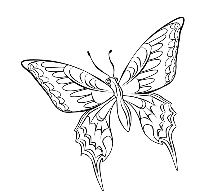 Disegno da colorare: Farfalla (Animali) #15846 - Pagine da Colorare Stampabili Gratuite