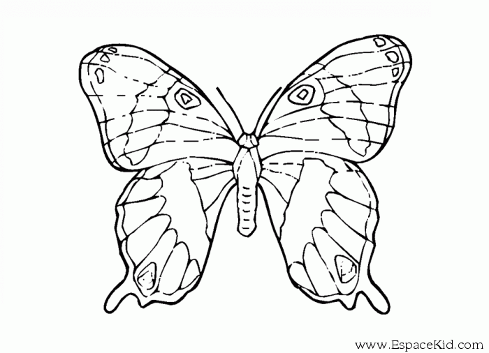 Disegno da colorare: Farfalla (Animali) #15857 - Pagine da Colorare Stampabili Gratuite