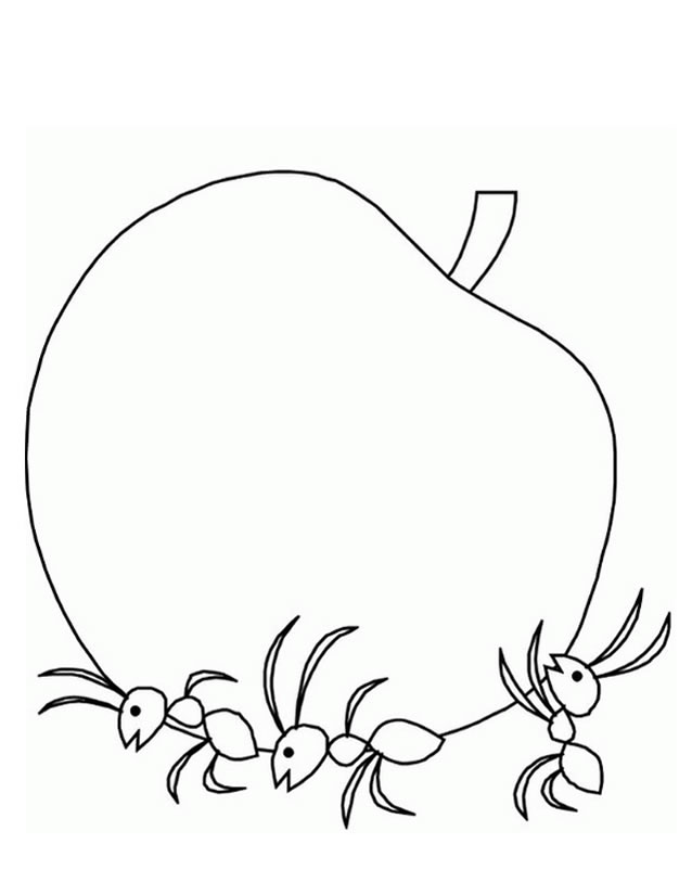 Disegno da colorare: Formica (Animali) #6964 - Pagine da Colorare Stampabili Gratuite