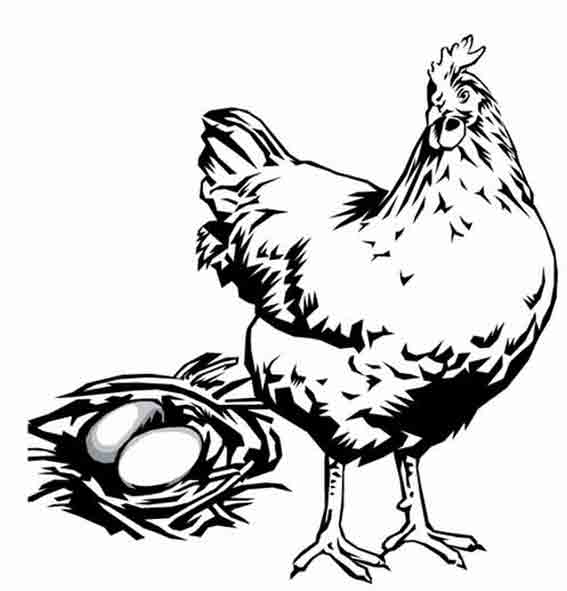 Disegno da colorare: Gallina (Animali) #17530 - Pagine da Colorare Stampabili Gratuite