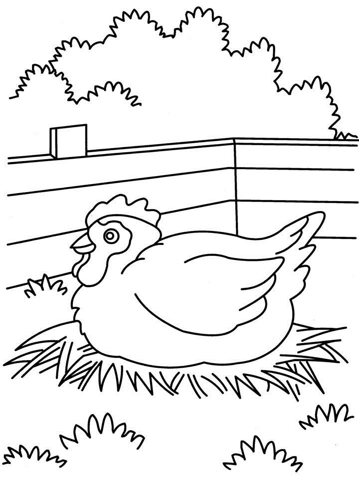 Disegno da colorare: Gallina (Animali) #17535 - Pagine da Colorare Stampabili Gratuite