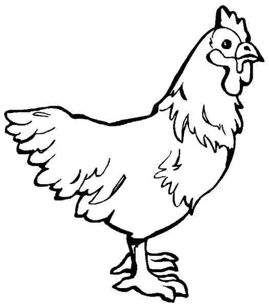 Disegno da colorare: Gallina (Animali) #17577 - Pagine da Colorare Stampabili Gratuite