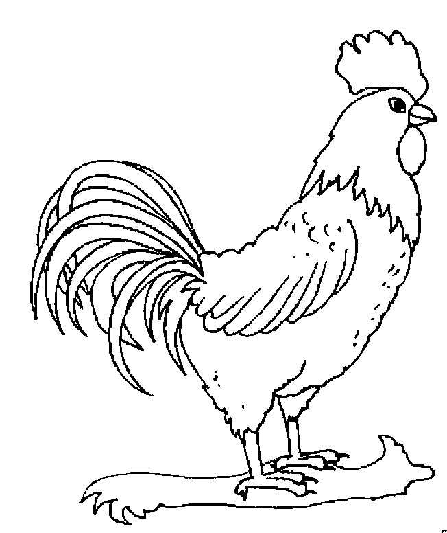 Disegno da colorare: Gallo (Animali) #4085 - Pagine da Colorare Stampabili Gratuite