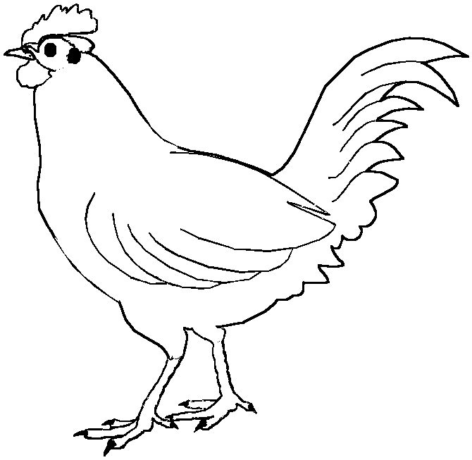 Disegno da colorare: Gallo (Animali) #4089 - Pagine da Colorare Stampabili Gratuite