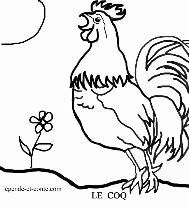 Disegno da colorare: Gallo (Animali) #4091 - Pagine da Colorare Stampabili Gratuite