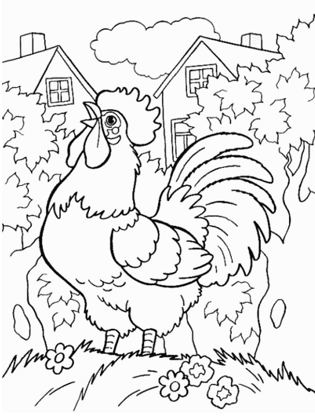 Disegno da colorare: Gallo (Animali) #4101 - Pagine da Colorare Stampabili Gratuite