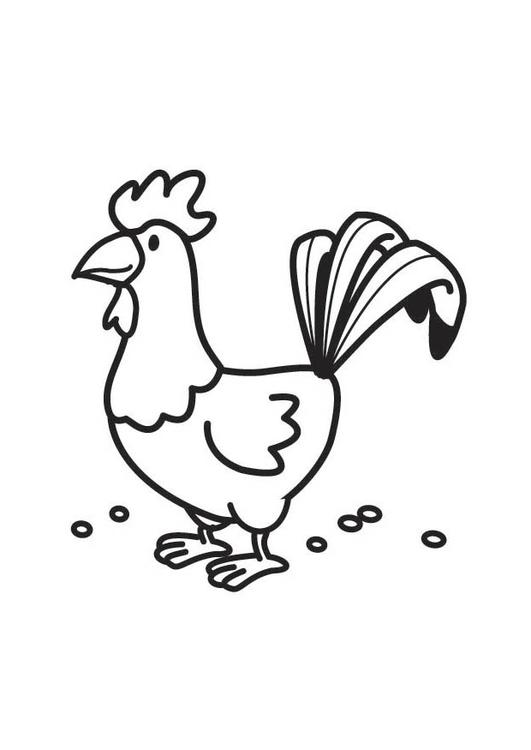 Disegno da colorare: Gallo (Animali) #4118 - Pagine da Colorare Stampabili Gratuite