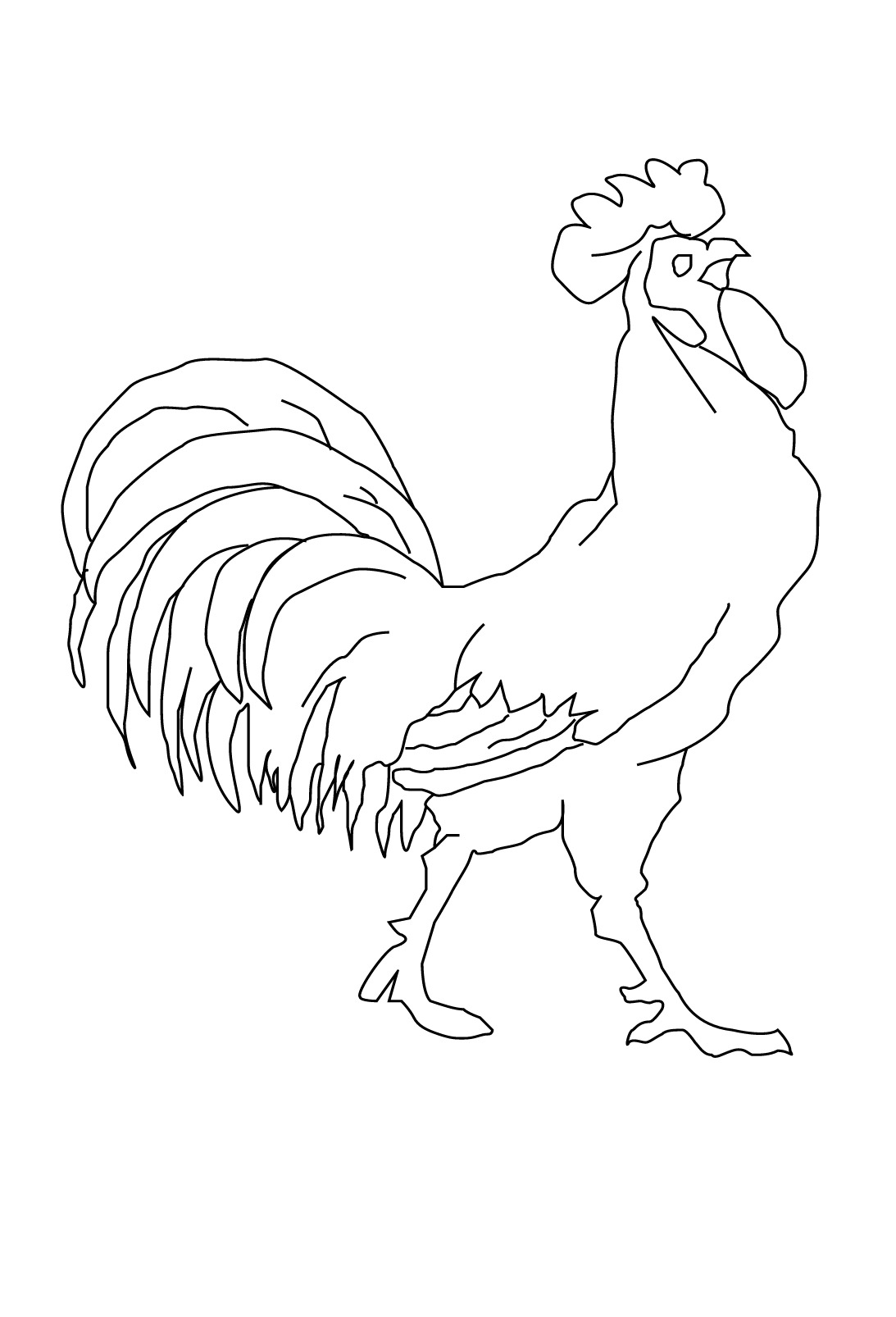 Disegno da colorare: Gallo (Animali) #4119 - Pagine da Colorare Stampabili Gratuite