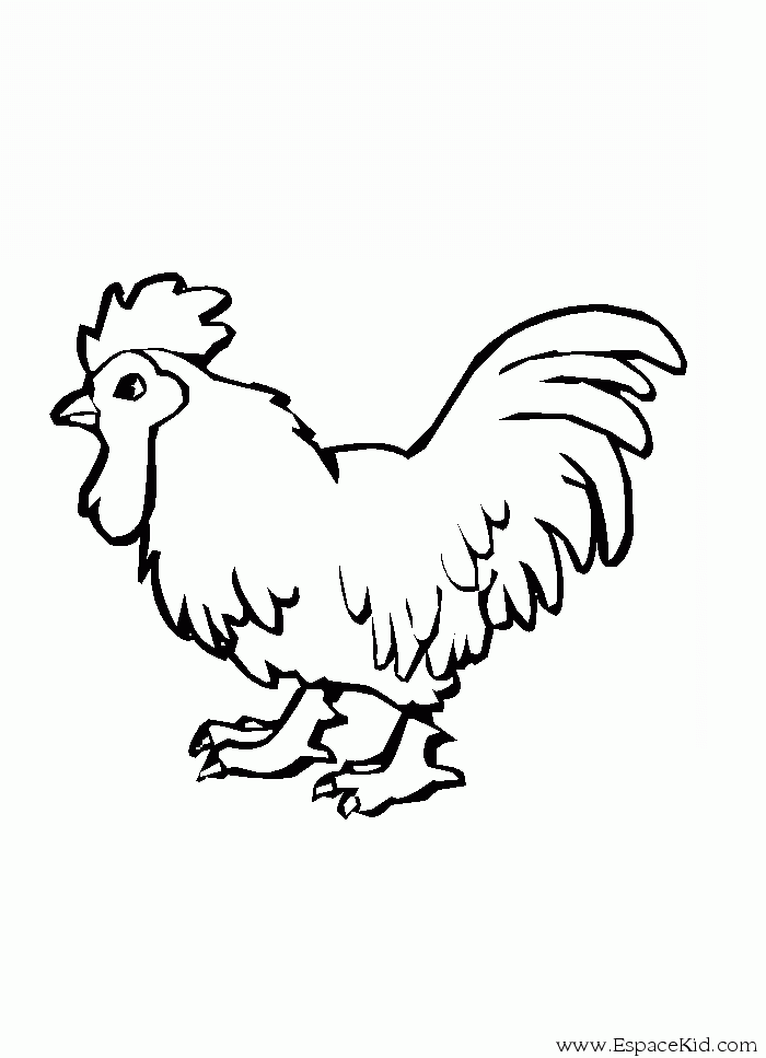 Disegno da colorare: Gallo (Animali) #4124 - Pagine da Colorare Stampabili Gratuite