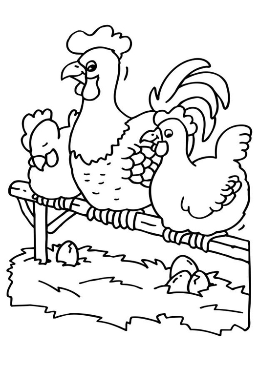 Disegno da colorare: Gallo (Animali) #4153 - Pagine da Colorare Stampabili Gratuite