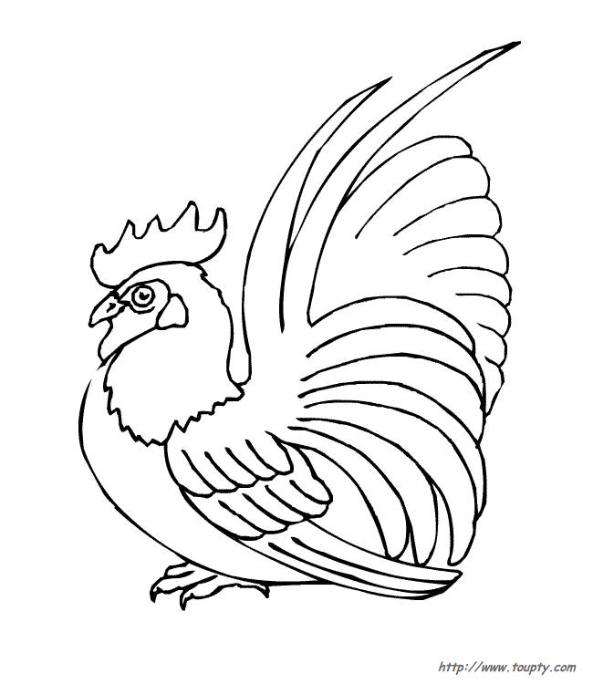 Disegno da colorare: Gallo (Animali) #4159 - Pagine da Colorare Stampabili Gratuite