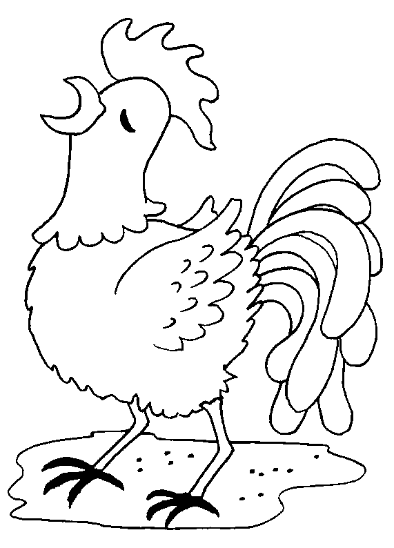 Disegno da colorare: Gallo (Animali) #4161 - Pagine da Colorare Stampabili Gratuite