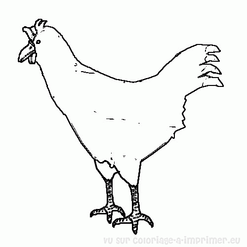 Disegno da colorare: Gallo (Animali) #4189 - Pagine da Colorare Stampabili Gratuite