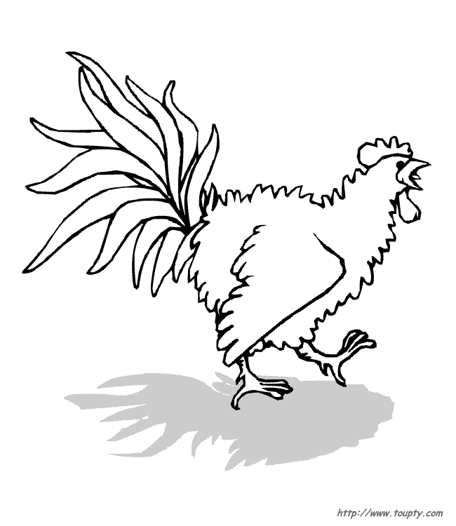 Disegno da colorare: Gallo (Animali) #4204 - Pagine da Colorare Stampabili Gratuite