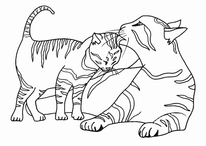Disegno da colorare: Gattino (Animali) #18027 - Pagine da Colorare Stampabili Gratuite