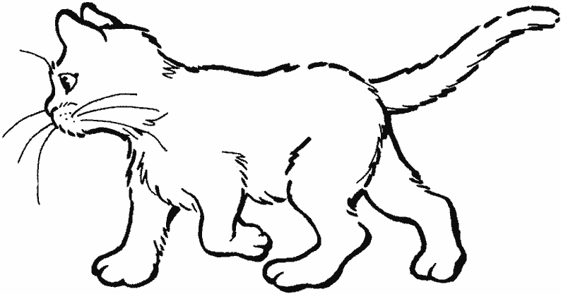 Disegno da colorare: Gattino (Animali) #18029 - Pagine da Colorare Stampabili Gratuite