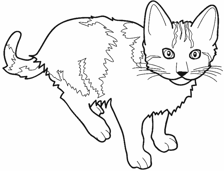 Disegno da colorare: Gattino (Animali) #18033 - Pagine da Colorare Stampabili Gratuite