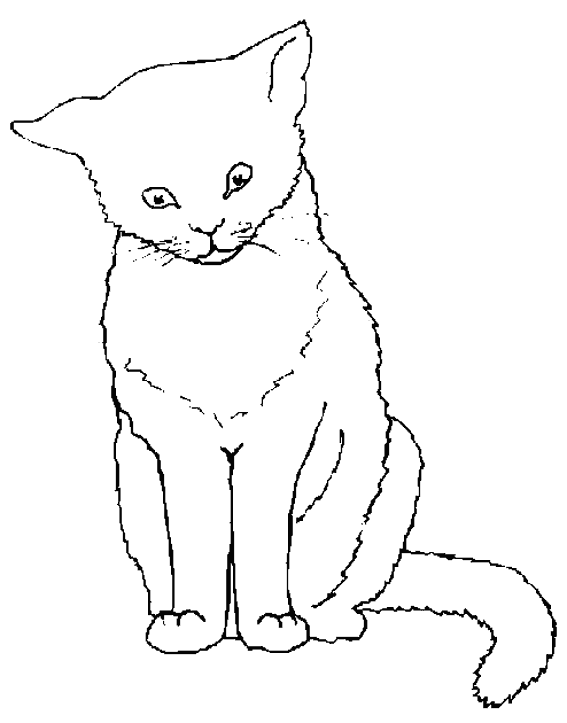 Disegno da colorare: Gattino (Animali) #18043 - Pagine da Colorare Stampabili Gratuite