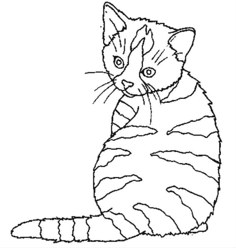 Disegno da colorare: Gattino (Animali) #18068 - Pagine da Colorare Stampabili Gratuite
