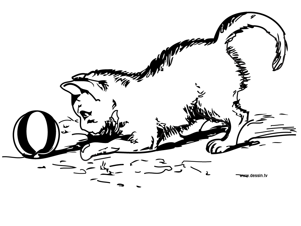 Disegno da colorare: Gattino (Animali) #18072 - Pagine da Colorare Stampabili Gratuite