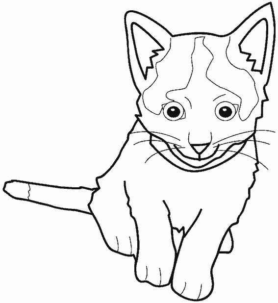 Disegno da colorare: Gattino (Animali) #18081 - Pagine da Colorare Stampabili Gratuite