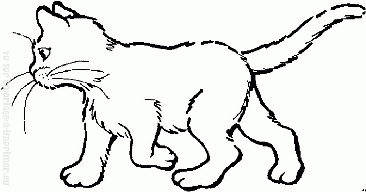 Disegno da colorare: Gattino (Animali) #18112 - Pagine da Colorare Stampabili Gratuite