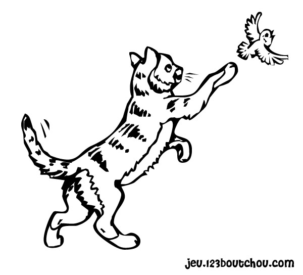 Disegno da colorare: Gattino (Animali) #18114 - Pagine da Colorare Stampabili Gratuite