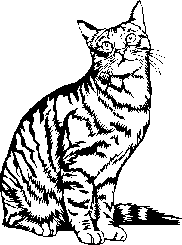 Disegno da colorare: Gattino (Animali) #18148 - Pagine da Colorare Stampabili Gratuite
