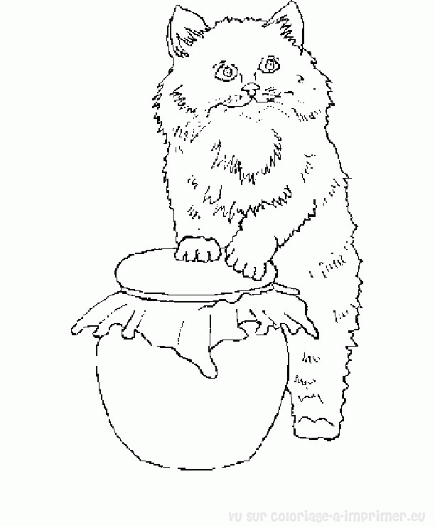 Disegno da colorare: Gattino (Animali) #18172 - Pagine da Colorare Stampabili Gratuite