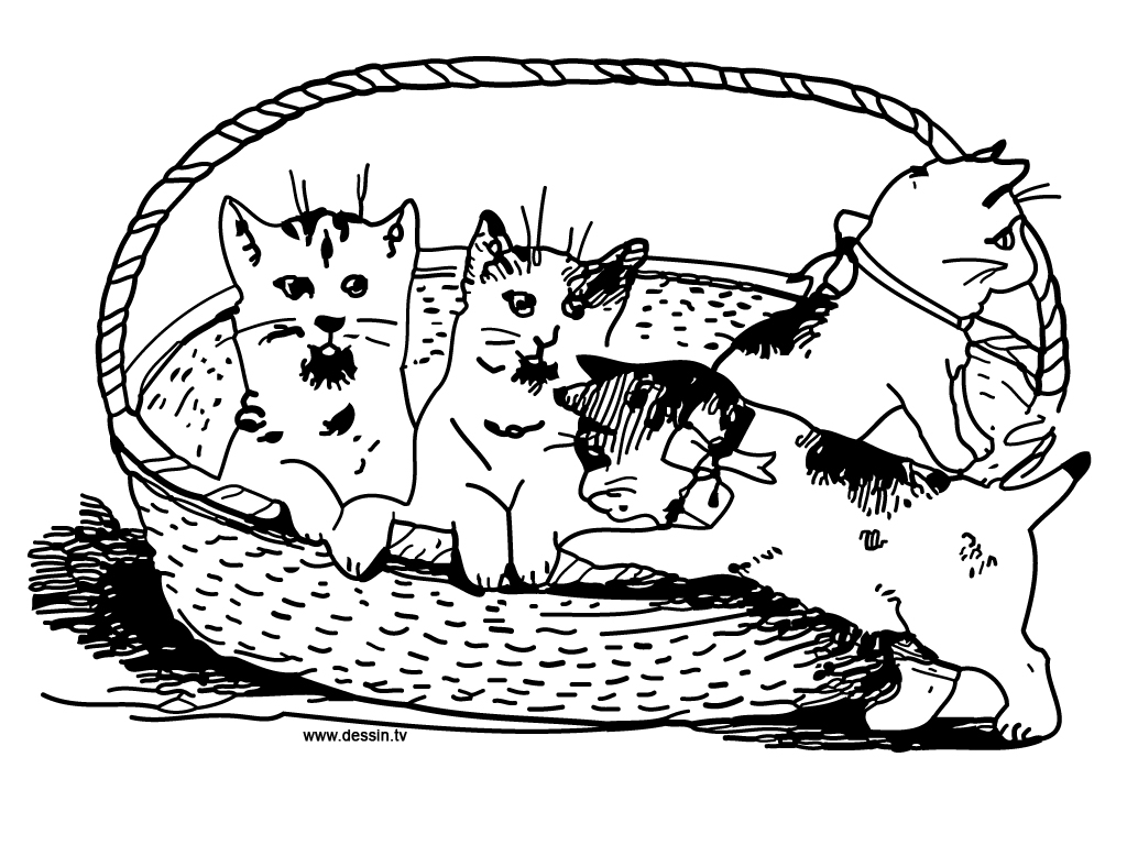 Disegno da colorare: Gattino (Animali) #18188 - Pagine da Colorare Stampabili Gratuite