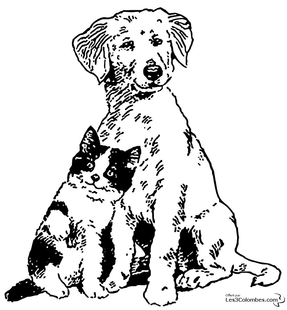 Disegno da colorare: Gattino (Animali) #18189 - Pagine da Colorare Stampabili Gratuite