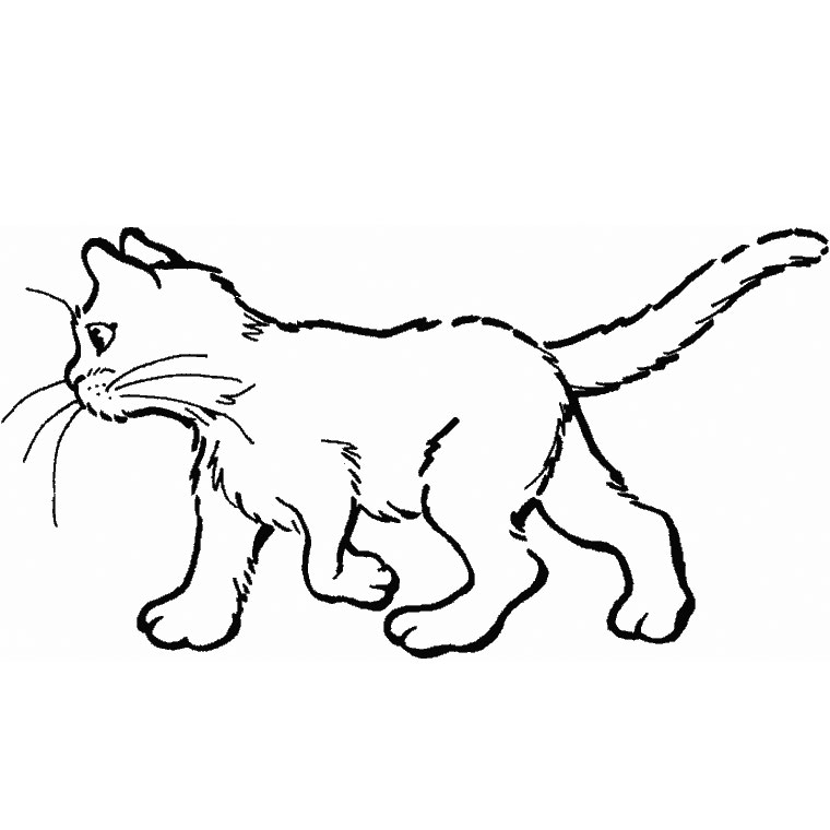 Disegno da colorare: Gatto (Animali) #1764 - Pagine da Colorare Stampabili Gratuite