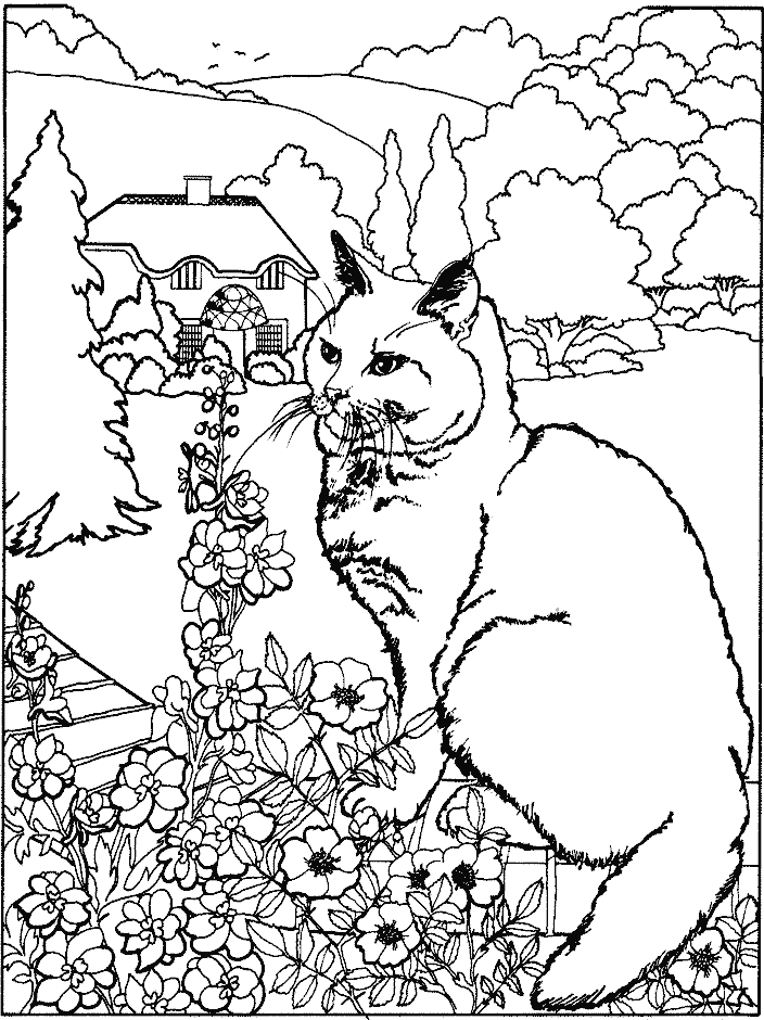 Disegno da colorare: Gatto (Animali) #1790 - Pagine da Colorare Stampabili Gratuite