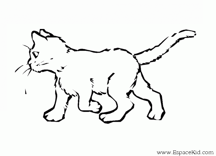 Disegno da colorare: Gatto (Animali) #1812 - Pagine da Colorare Stampabili Gratuite