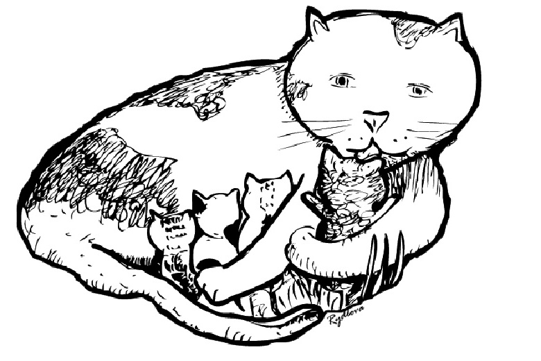 Disegno da colorare: Gatto (Animali) #1821 - Pagine da Colorare Stampabili Gratuite