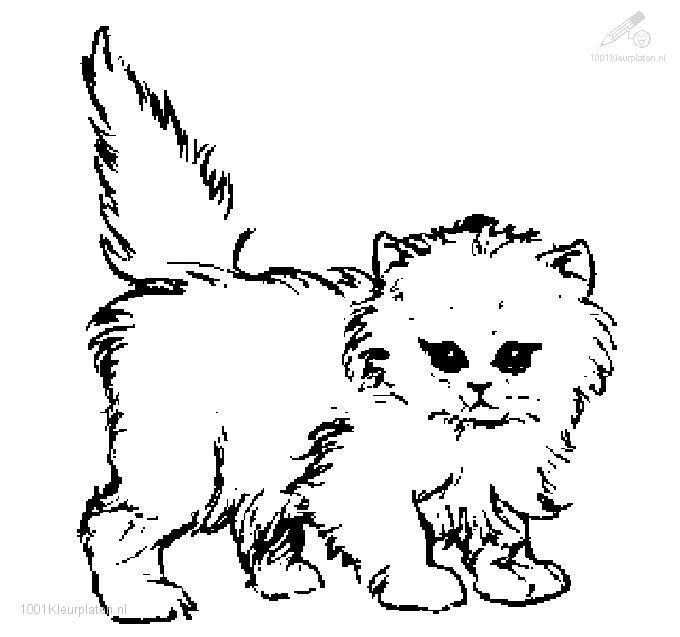 Disegno da colorare: Gatto (Animali) #1832 - Pagine da Colorare Stampabili Gratuite