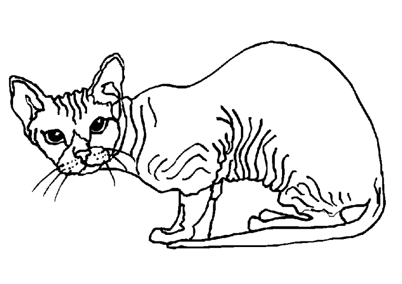 Disegno da colorare: Gatto (Animali) #1841 - Pagine da Colorare Stampabili Gratuite