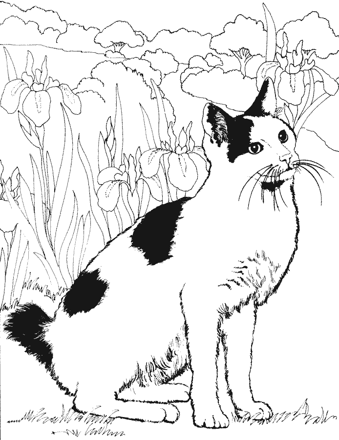 Disegno da colorare: Gatto (Animali) #1846 - Pagine da Colorare Stampabili Gratuite